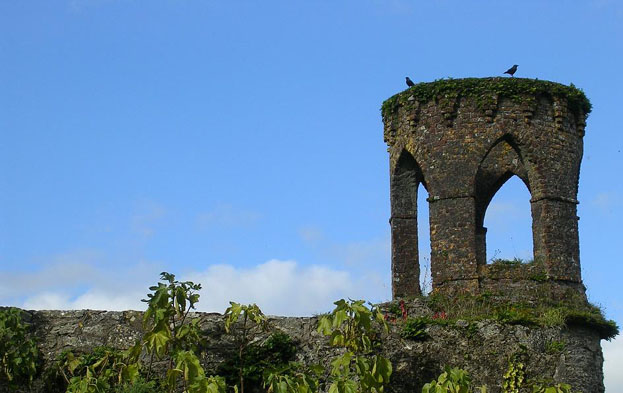 Crows and Castle